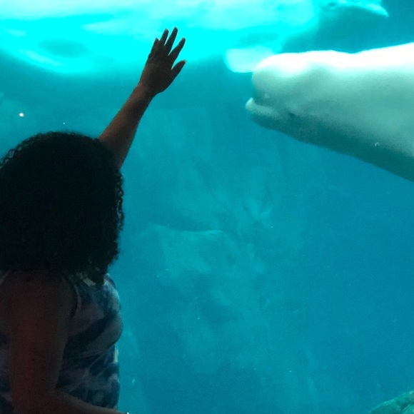 Meet your Posher, Nya - Picture 1 of 1